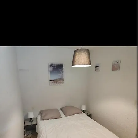 דירה Vu Sur 1er Ligne פאלאבה-לה-פלו